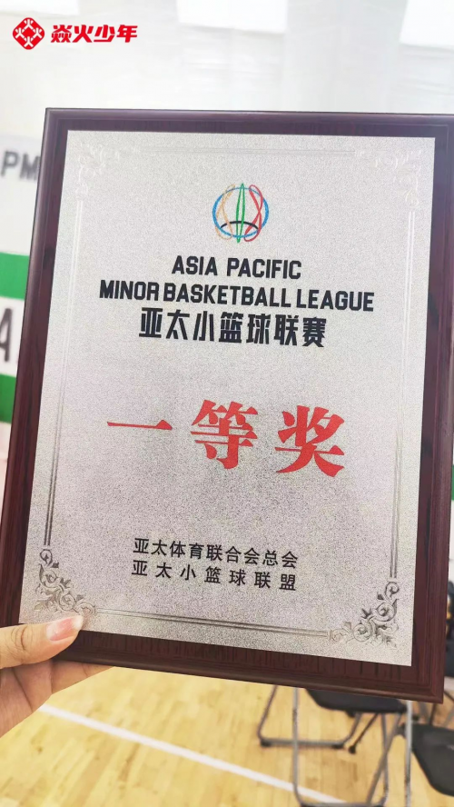 半岛体育娱乐-篮球赛事精彩继续，领袖球队实力崛起冲击冠军的简单介绍